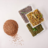 flax seed, lavender, peppermint and chamomile in little jars